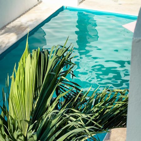 Hotel Stella Maris تولوم المظهر الخارجي الصورة